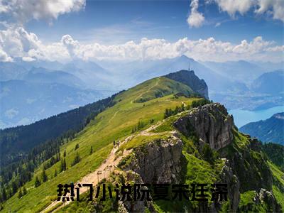 阮夏宋廷深（阮夏宋廷深）完整版小说阅读_阮夏宋廷深全文免费阅读笔趣阁（阮夏宋廷深）