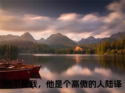 他不爱我，他是个高傲的人陆译免费小说-他不爱我，他是个高傲的人陆译已更新最新章节