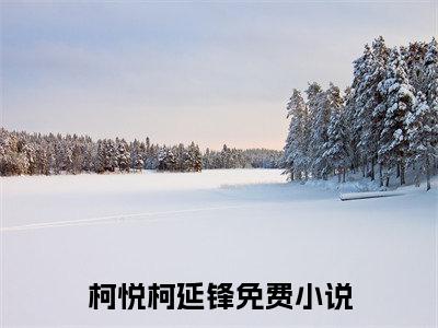 柯悦柯延锋（柯悦柯延锋）全文在线阅读无弹窗大结局_(柯悦柯延锋免费阅读全文大结局)最新章节列表_笔趣阁（柯悦柯延锋）