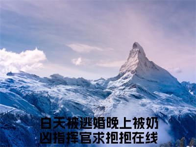 （白天被逃婚晚上被奶凶指挥官求抱抱）小说全文免费阅读_白天被逃婚晚上被奶凶指挥官求抱抱（苏晚顾爵）最新章节热文在线阅读