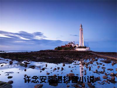 许念安裴湛小说大结局精彩推荐，许念安裴湛全文完整版在线阅读