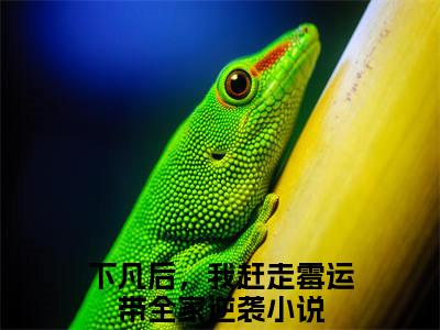 珠珠邰继祖小说最新章节阅读珠珠邰继祖下凡后，我赶走霉运带全家逆袭全文免费阅读最新章节大结局