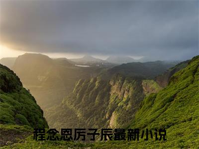 程念恩厉子辰热门言情小说推荐阅读，（程念恩厉子辰）在哪免费看