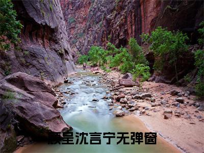 顾呈沈言宁小说免费阅读(顾呈沈言宁)全文免费阅读无弹窗大结局_ 顾呈沈言宁最新章节列表_笔趣阁（顾呈沈言宁小说）