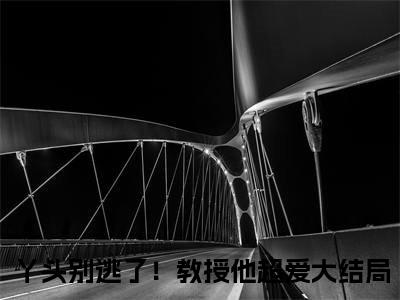 谢宴宁苏绾晚（丫头别逃了！教授他超爱）全文免费阅读_谢宴宁苏绾晚（丫头别逃了！教授他超爱在线小说免费阅读）