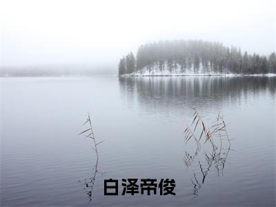 白泽帝俊（洪荒:我人族人皇,推演神话大罗小说）全文免费阅读无弹窗大结局_洪荒:我人族人皇,推演神话大罗小说最新章节列表