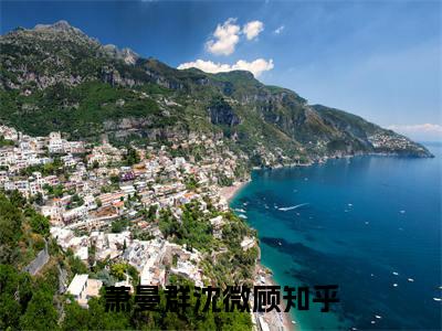 萧曼群沈微顾长篇小说免费阅读-小说最新试读