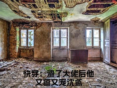 沈鸢（快穿：渣了大佬后他又疯又宠）全文免费阅读最新章节大结局_沈鸢最新章节列表_笔趣阁