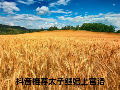 高赞小说（太子继妃上官洛）完结阅读_太子继妃上官洛全文完整版免费阅读最新章节列表
