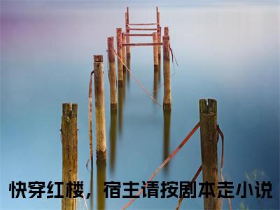 苍渊史晴（快穿红楼，宿主请按剧本走）全文免费阅读无弹窗大结局_苍渊史晴完本小说最新章节阅读