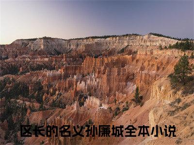 区长的名义孙廉城小说(区长的名义孙廉城)全文免费区长的名义孙廉城阅读无弹窗大结局