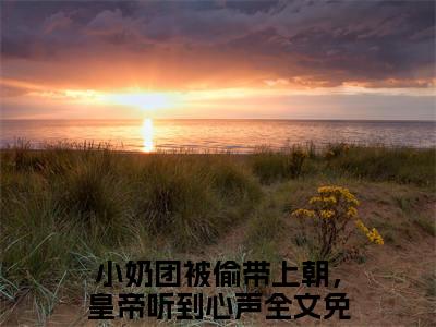 姜稚萧景垣（小奶团被偷带上朝，皇帝听到心声）全文免费阅读无弹窗大结局_（姜稚萧景垣）最新章节列表_小奶团被偷带上朝，皇帝听到心声