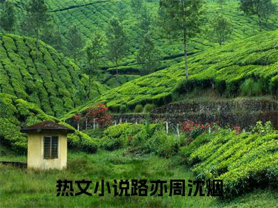 入夜缠吻，路少的小娇娇别逃了（路亦周沈烟）全文免费阅读无弹窗_入夜缠吻，路少的小娇娇别逃了完整版最新阅读_笔趣阁（路亦周沈烟）