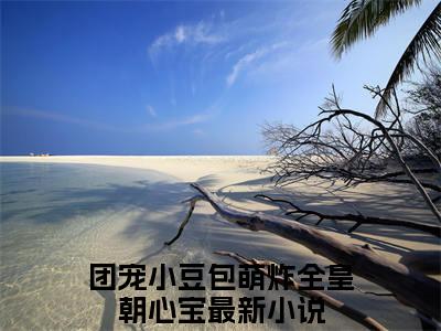 团宠小豆包萌炸全皇朝心宝（团宠小豆包萌炸全皇朝心宝）高质量小说推荐阅读-最新小说团宠小豆包萌炸全皇朝心宝全文阅读