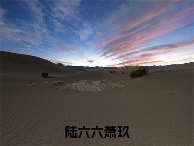 陆六六萧玖免费陆六六萧玖读无弹窗最新章节列表_笔趣阁（陆六六萧玖）