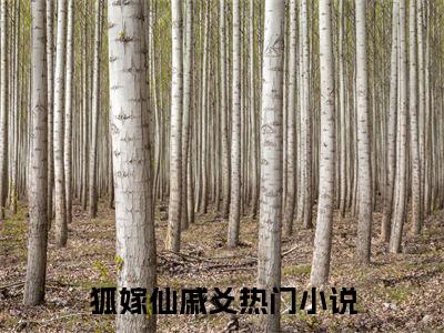 《狐嫁仙戚爻》最新章节免费阅读-狐嫁仙戚爻无广告小说精彩阅读