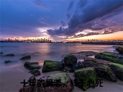 米函函顾瑾灏（十年的爱恋，终于心死）全文免费阅读-（十年的爱恋，终于心死小说）米函函顾瑾灏最新章节列表