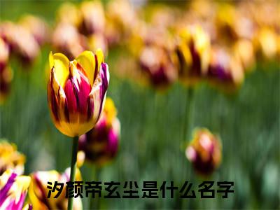 甜爆款小说汐颜帝玄尘-汐颜帝玄尘免费在线阅读