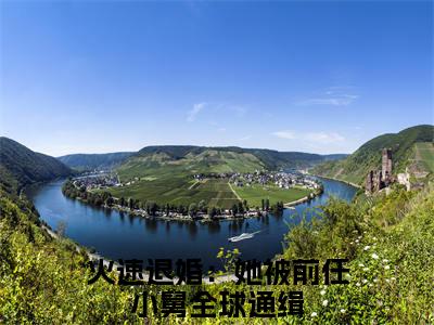 夏星冉时景遇（火速退婚：她被前任小舅全球通缉）全文免费阅读无弹窗大结局_（火速退婚：她被前任小舅全球通缉）小说免费阅读无弹窗最新章节列表