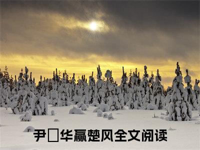 尹玥华赢楚风txt（尹玥华赢楚风）全文免费阅读无弹窗大结局_尹玥华赢楚风最新章节列表_笔趣阁（尹玥华赢楚风）