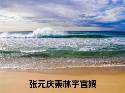官嫂（张元庆秦林宇）全文免费阅读最新章节大结局_官嫂最新章节列表_笔趣阁