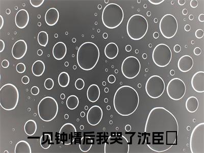 热门推荐小说（一见钟情后我哭了沈臣玦）精彩章节阅读-一见钟情后我哭了沈臣玦全文免费在线阅读_笔趣阁