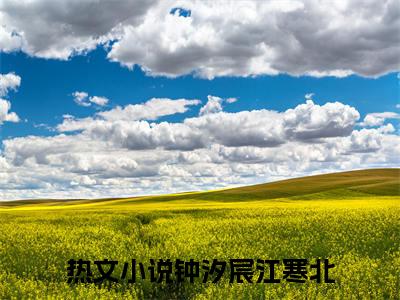 钟汐宸江寒北高质量热文推荐试读-钟汐宸江寒北完整章节阅读