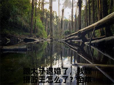 跟太子退婚了，我嫁摄政王怎么了？抖音完结版阅读《沈清瞳夜少冥》最新章节目录好书推荐_（跟太子退婚了，我嫁摄政王怎么了？）