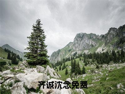 齐诚沈念全文免费阅读_齐诚沈念（齐诚沈念）小说在线阅读最新章节列表笔趣阁
