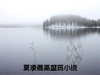 夏凌薇高盛筠（夏凌薇高盛筠全文免费）小说全文免费阅读无弹窗大结局_(夏凌薇高盛筠免费阅读）夏凌薇高盛筠最新章节列表_笔趣阁（夏凌薇高盛筠）