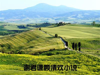 谢君谦顾清欢全网首发小说-谢君谦顾清欢无广告免费试读