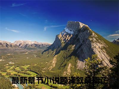 顾泽叙桑南芷小说(顾泽叙桑南芷)全文免费阅读无弹窗大结局_顾泽叙桑南芷小说免费阅读无弹窗最新章节列表