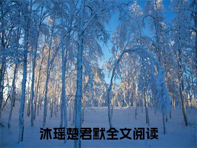 沐瑶楚君默(沐瑶楚君默)小说全文免费阅读无弹窗大结局_（沐瑶楚君默全文免费阅读）沐瑶楚君默最新章节列表笔趣阁（沐瑶楚君默）