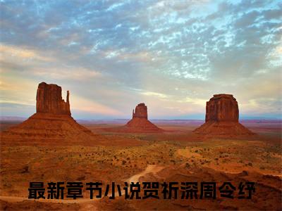 攻略男配后，男主醋疯了（贺祈深周令纾）全文免费阅读-（贺祈深周令纾无弹窗阅读）最新章节小说免费阅读