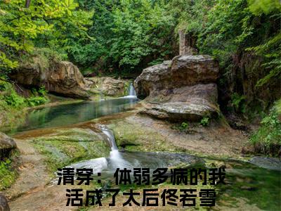 清穿：体弱多病的我活成了太后佟若雪（清穿：体弱多病的我活成了太后佟若雪）全文在线阅读免费大结局_清穿：体弱多病的我活成了太后佟若雪最新章节列表_笔趣阁（清穿：体弱多病的我活成了太后佟若雪）