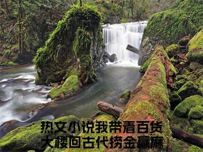 小说《苏云清沈安》全文免费阅读无弹窗-我带着百货大楼回古代捞金赢麻了小说全文在线赏析