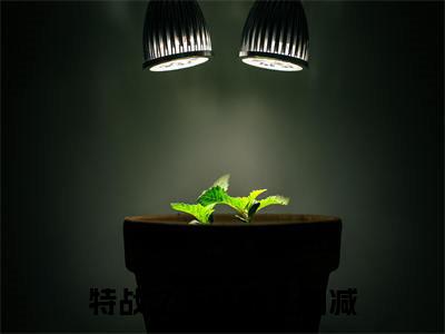特战之王陆胜的小说免费阅读（特战之王陆胜的小说免费阅读）全文完整版免费阅读