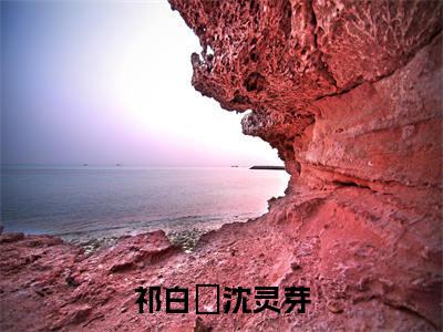 祁白璟沈灵芽（祁白璟沈灵芽)全文免费阅读无弹窗大结局_祁白璟沈灵芽全文免费阅读_笔趣阁（祁白璟沈灵芽）