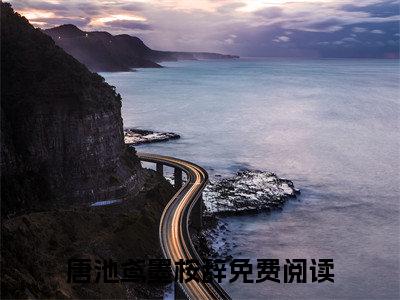 抖音小说（唐池鸢墨桉辞）主角是（唐池鸢墨桉辞）全文完整版免费阅读最新章节列表_笔趣阁