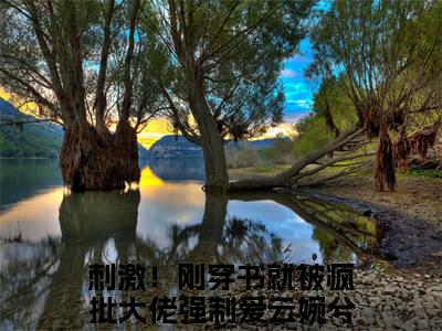 刺激！刚穿书就被疯批大佬强制爱云婉兮（刺激！刚穿书就被疯批大佬强制爱云婉兮全文免费阅读）完结阅读_刺激！刚穿书就被疯批大佬强制爱云婉兮全文免费阅读免费看全文