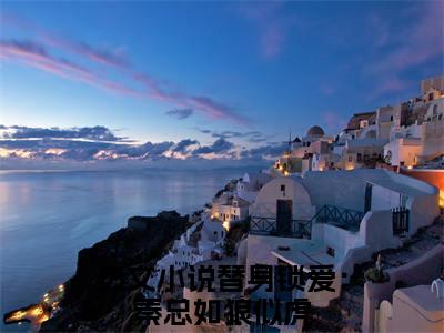 周卿秦霆琛（替身锁爱：秦总如狼似虎）小说免费阅读-周卿秦霆琛（替身锁爱：秦总如狼似虎）已完结全集大结局小说