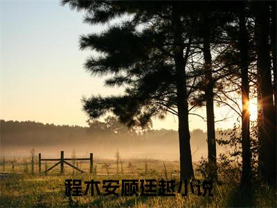 程木安顾廷越（程木安顾廷越）全文免费大结局，程木安顾廷越结局在线阅读