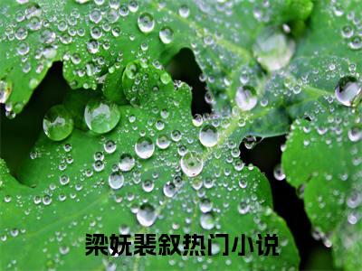 梁妩裴叙无删减（梁妩裴叙）全文免费阅读无弹窗大结局_梁妩裴叙最新章节列表（梁妩裴叙）