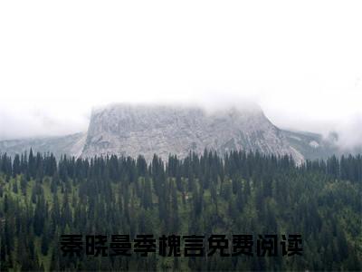 秦晓曼季槐言全集免费阅读无弹窗_秦晓曼季槐言完结小说榜单阅读（秦晓曼季槐言小说）