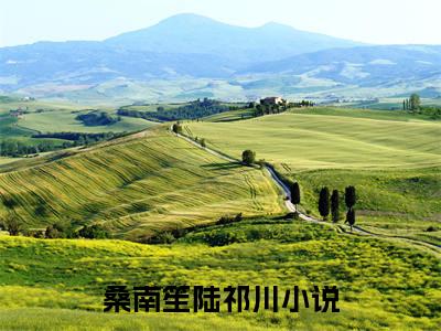 桑南笙陆祁川小说在线阅读(桑南笙陆祁川)_桑南笙陆祁川小说最新章节