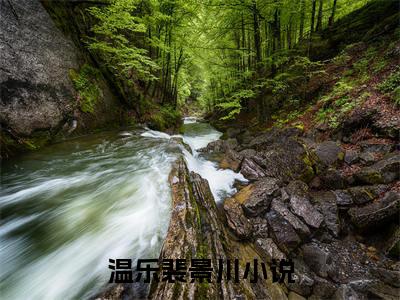 温乐裴景川宝藏小说推荐温乐裴景川-温乐裴景川完整免费阅读小说