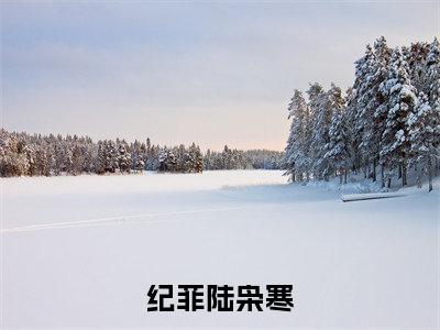 纪菲陆枭寒免费完结小说-纪菲陆枭寒（纪菲陆枭寒）在线阅读全文（纪菲陆枭寒）