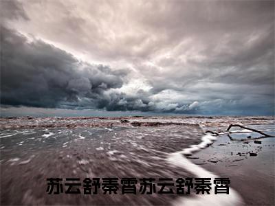 苏云舒秦霄新书热荐免费小说苏云舒秦霄全文完整版-苏云舒秦霄小说全文无删减版免费阅读