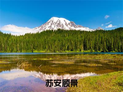 苏安顾景（苏安顾景）全文免费阅读大结局-苏安顾景最新章节列表免费阅读大结局