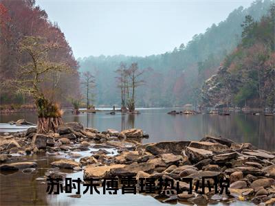 苏时未傅霄瑾（苏时未傅霄瑾）完整全文在线阅读_苏时未傅霄瑾小说全章节目录阅读（苏时未傅霄瑾）